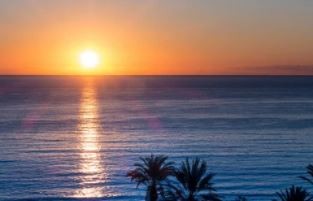 mallorca 2 0
